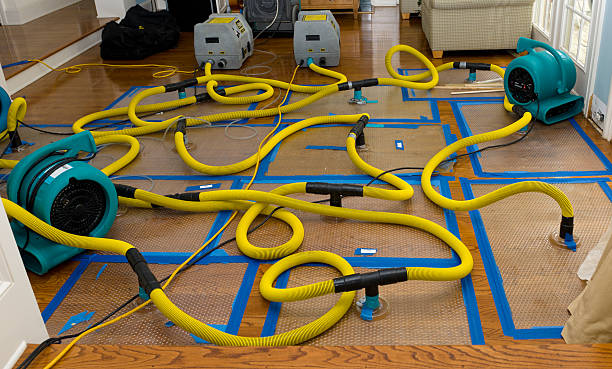 Professional Crawl Space Water Removal technician working in Decatur, AR